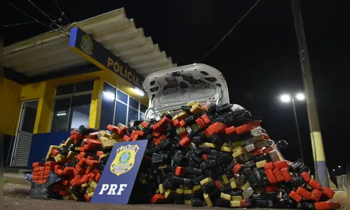 PRF apreende 63 toneladas de drogas no Paraná em 2019 e bate recorde histórico