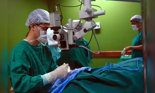 Ministério da Saúde quer zerar fila de espera por cirurgias eletivas