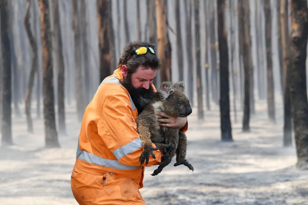 Incêndio na Austrália destruiu um terço da Ilha Kangaroo, mostra Nasa