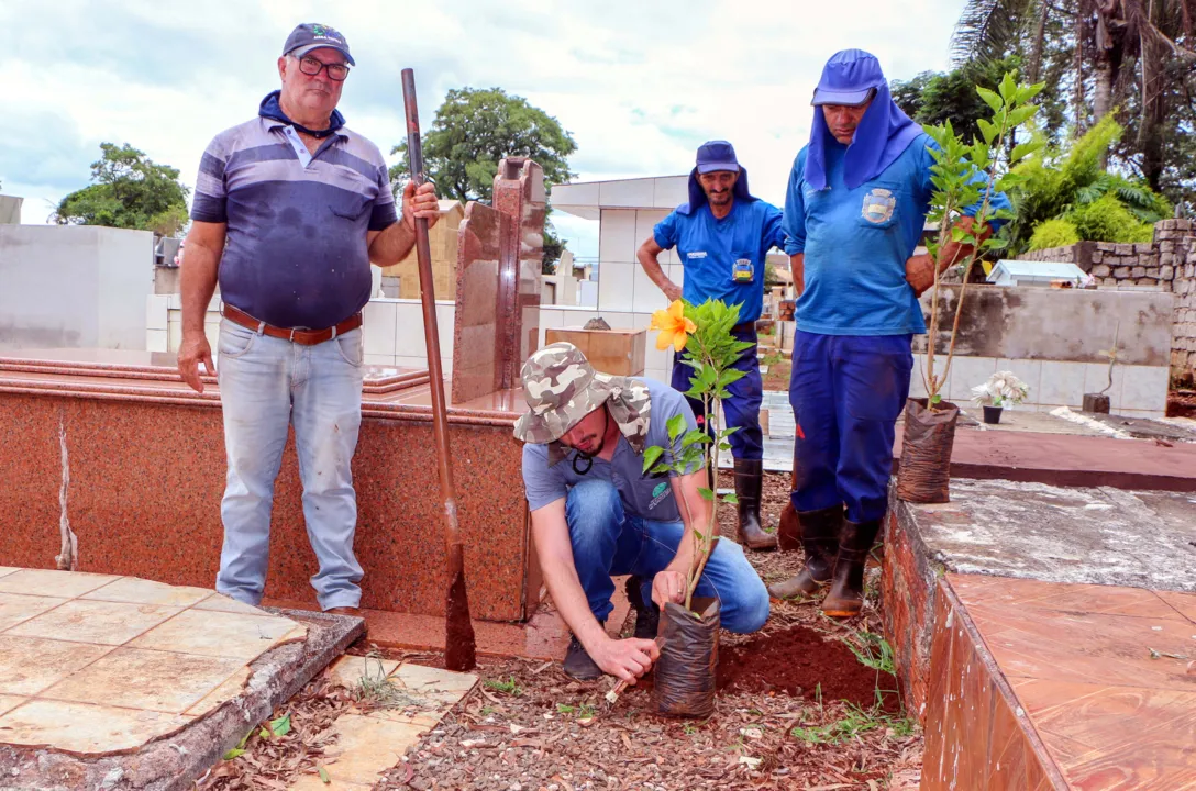 Cemitérios municipais recebem nova arborização