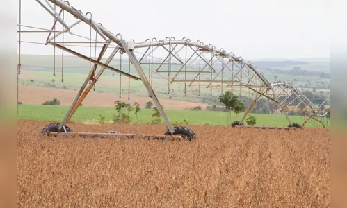 Safra de grãos fecha 2019 com recorde de 241,5 milhões de toneladas