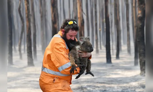 Incêndio na Austrália destruiu um terço da Ilha Kangaroo, mostra Nasa