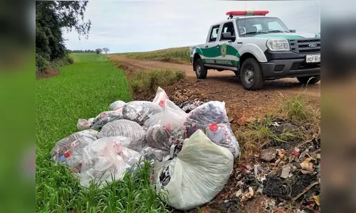 Grupamento ambiental de Arapongas totaliza 605 atendimentos em 2019
