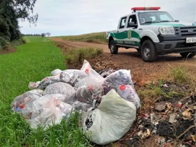 Descarte irregular de resíduos é fiscalizado pela GM Ambiental