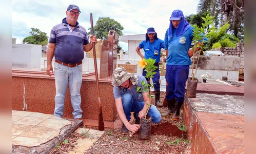 Cemitérios municipais recebem nova arborização