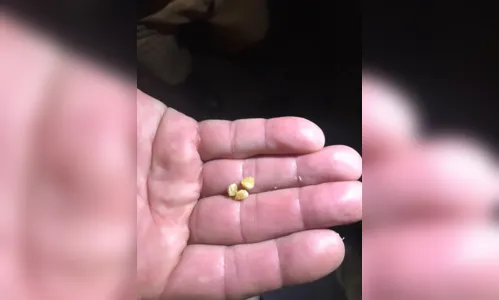 
							PM de Apucarana prende duas pessoas durante 'Operação Arrastão'
						
						