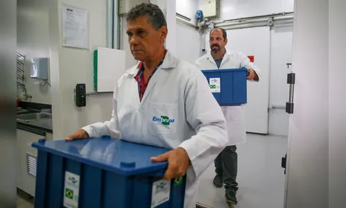 Embrapa envia 3.438 sementes brasileiras para banco mundial na Noruega