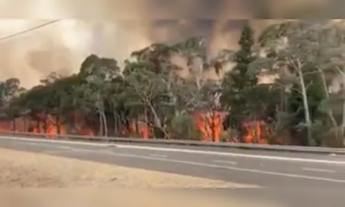 Incêndios: autoridades australianas pedem retirada de 240 mil pessoas