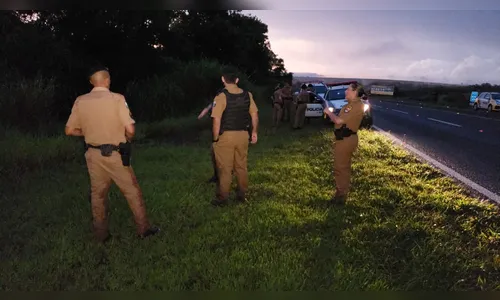 Policial é atacado por enxame de abelhas enquanto perseguia ladrão de moto, em Campo Mourão