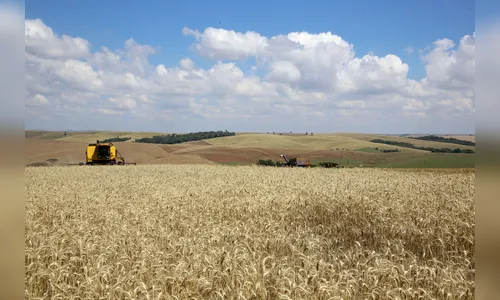 Novo instituto fortalece sistema estadual de agricultura