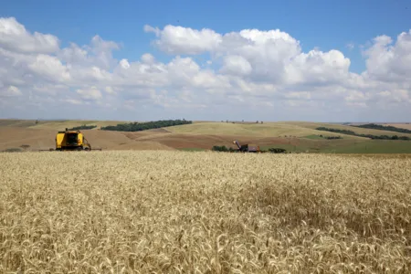 Novo instituto fortalece sistema estadual de agricultura