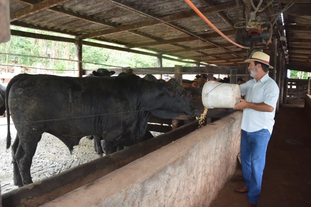 Mesmo com as reduções no mês de dezembro, o mercado começa a se acomodar com preços mais favoráveis ao produtor. (Fotos: Ivan Maldonado)