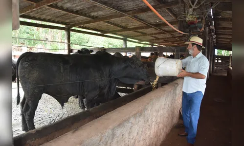Pecuaristas apostam em mercado aquecido