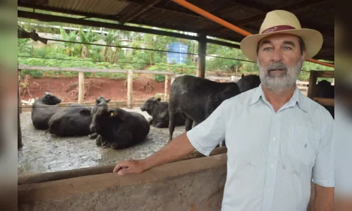 
						
							Pecuaristas apostam em mercado aquecido
						
						