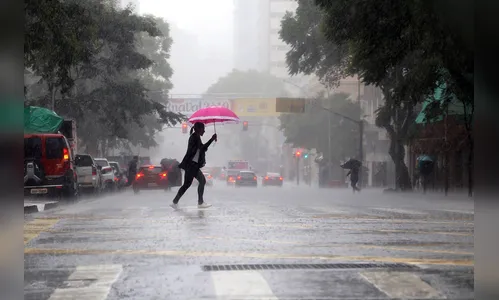 Risco de leptospirose cresce nos períodos de chuvas intensas