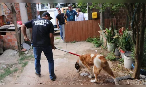 Polícia resgata são bernardo esquelético e cães alimentados com comida estragada
