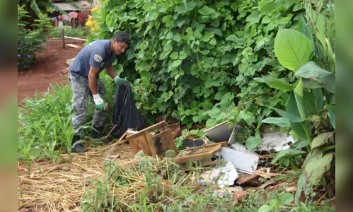 
							Prefeitura de Lunardelli realiza mutirão de limpeza contra a dengue em todo o município
						
						