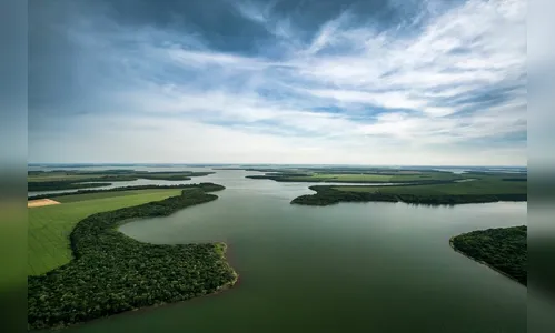 Tecpar certifica empresas comprometidas com biodiversidade