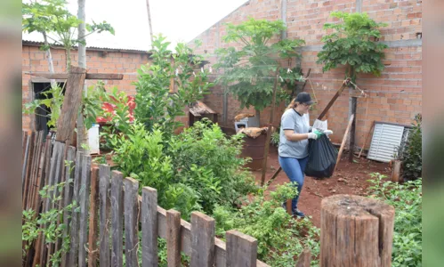 
							Prefeitura de Lunardelli realiza mutirão de limpeza contra a dengue em todo o município
						
						