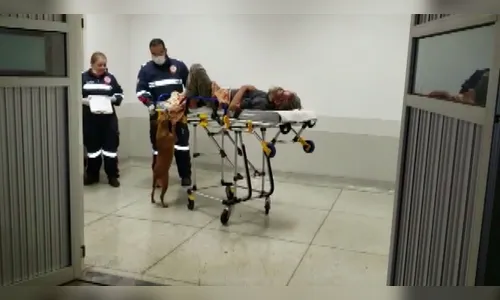 Cadela entra em ambulância para acompanhar andarilho que passou mal