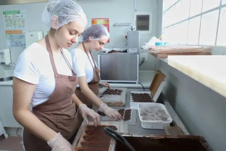 Em três meses, Banco da Mulher Paranaense libera R$ 9 milhões em crédito