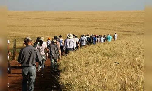 Caminhadas na Natureza terão 160 circuitos no Paraná neste ano