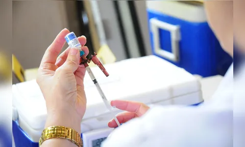 Governo envia mil doses da vacina pentavalente a Arapongas