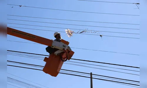 Copel alerta para os perigos de pipas perto da rede elétrica