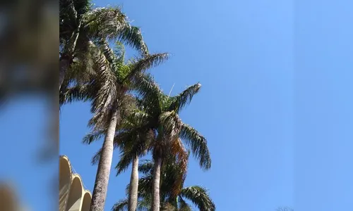 Simepar prevê início de semana com pouca chuva no Paraná