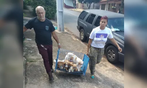 ONG resgata animais com apoio da polícia civil em Apucarana