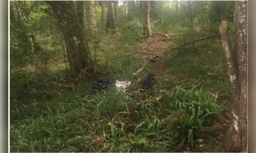 Com marcas de violência sexual, jovem é encontrada morta em chácara 