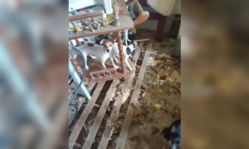 
							ONG resgata animais com apoio da polícia civil em Apucarana
						
						