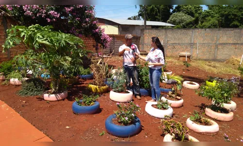 Voluntário transforma ‘lixões’ a céu aberto em canteiros de plantas em Arapongas; assista