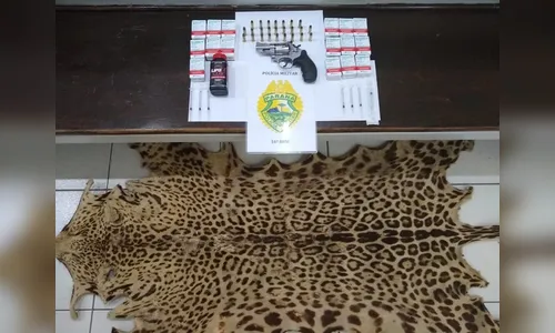 Motociclista faz manobras perigosas, tenta fugir da polícia e é preso em casa com pele de onça, diz PM