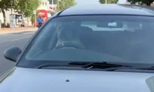 Cão preso em carro buzina até o dono voltar; assista o vídeo