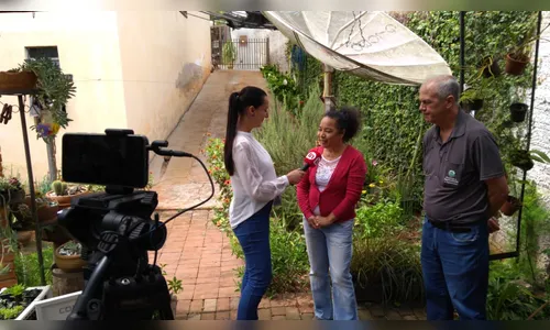 Moradora de Apucarana adere a criação de abelhas sem ferrão no quintal de casa; assista a live
