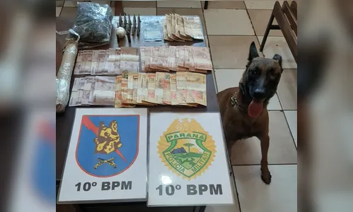 Canil da PM de Apucarana apreende cocaína 