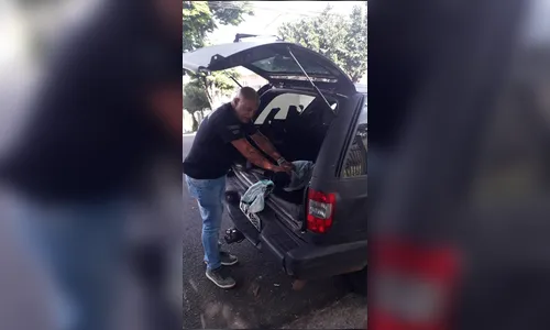 Maus-tratos contra animais é crime; saiba como denunciar 