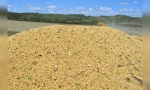 Agronegócio é responsável por 77% das exportações do Paraná