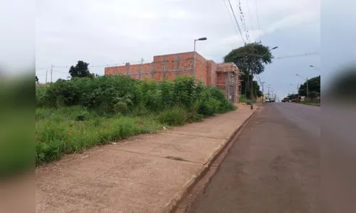 Faxinal notifica 2,3 mil proprietários de terrenos para limpeza