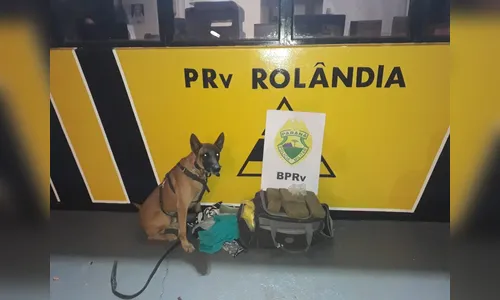 Mulher que viajava com o filho de 13 anos é presa suspeita de tráfico em Rolândia