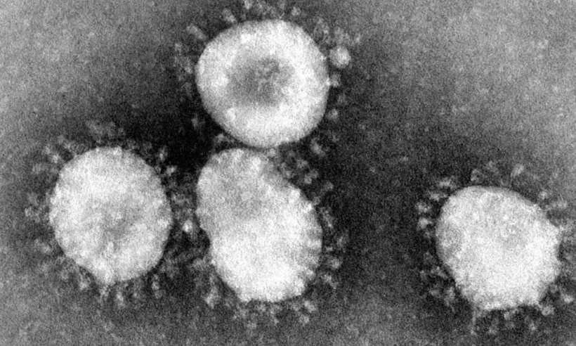 Anvisa cria grupo de emergência para monitorar ações de combate ao coronavírus