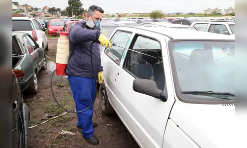 Sobe para sete o número de mortes por dengue no Paraná