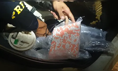 PRF apreende 4,2 mil comprimidos de ecstasy que iriam para Londrina; veja vídeo