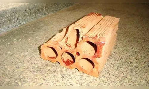 Menina mata homem a tijoladas em Águas Claras, após tentativa de estupro