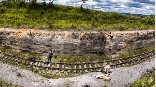 Fósseis com 416 milhões de anos são achados no Paraná