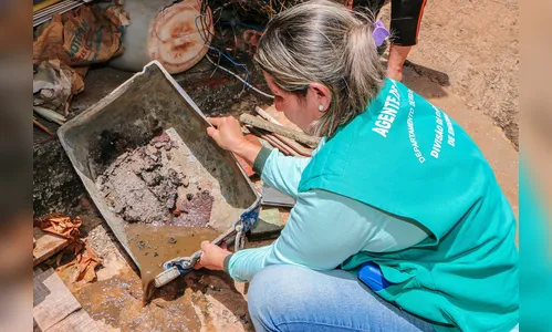 Prefeito pede engajamento de todos na luta contra o mosquito da dengue
