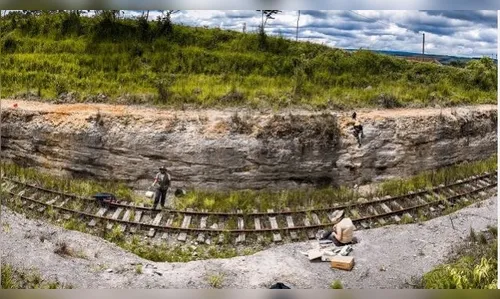 Fósseis com 416 milhões de anos são achados no Paraná