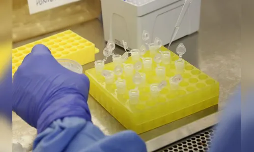 Fiocruz recebe material genético para apurar teste de coronavírus
