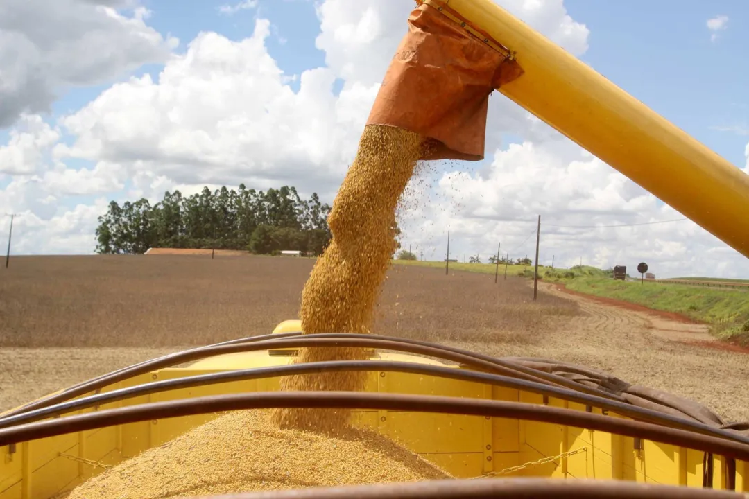 Paraná deve produzir 23,4 milhões de toneladas de grãos